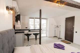 Апартаменты Central Studio Apartments 
