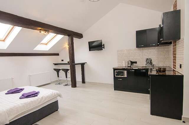 Апартаменты Central Studio Apartments 